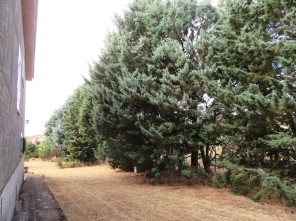 Jardín
